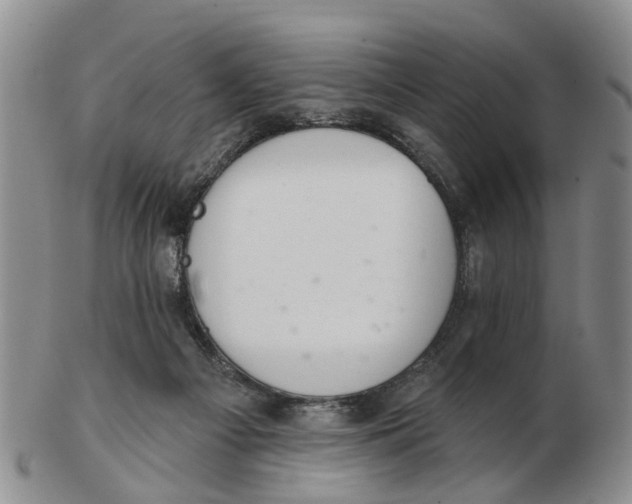 X0000103170121200809121909