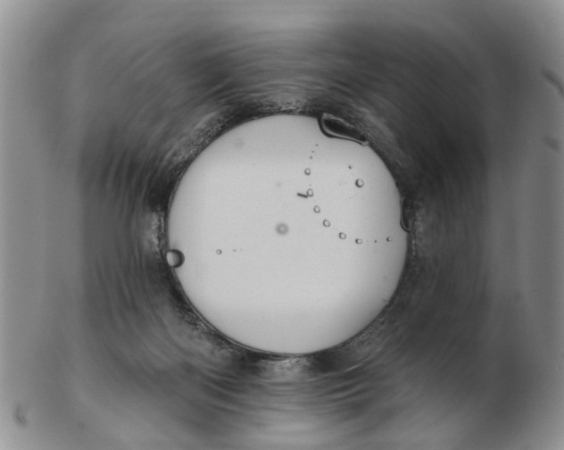 X0000103170122200809121909