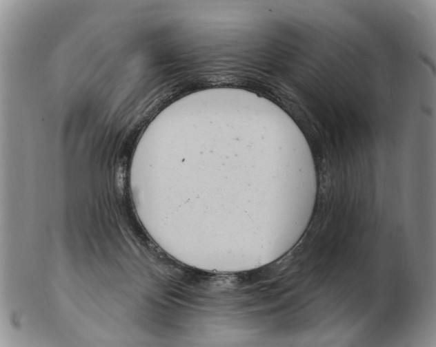 X0000103170124200809121909