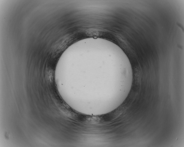 X0000103170125200809121909