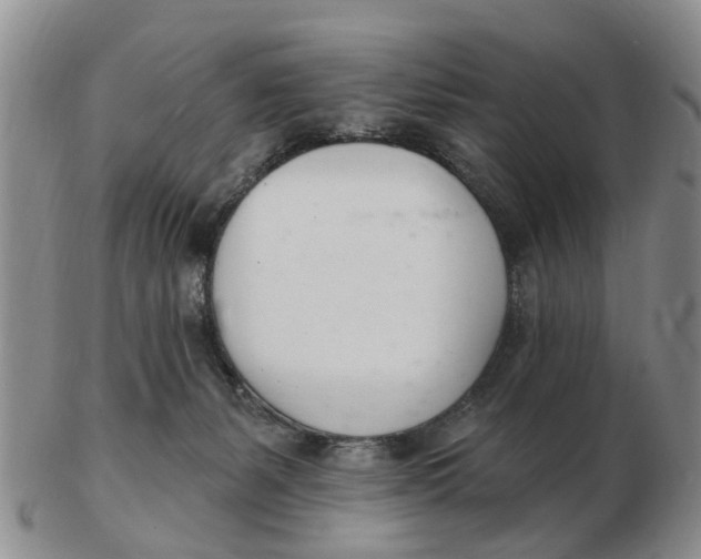 X0000103170127200809121909