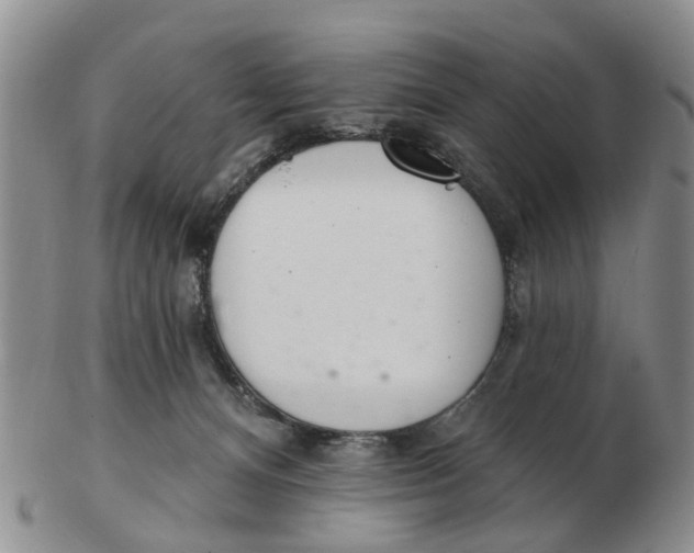 X0000103170128200809121909