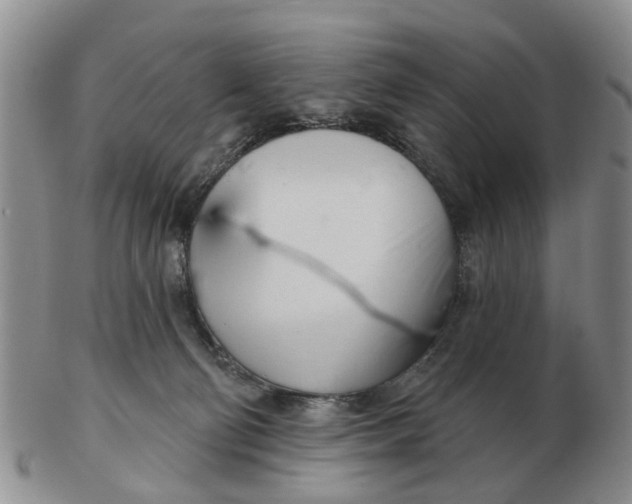 X0000103170130200809121909