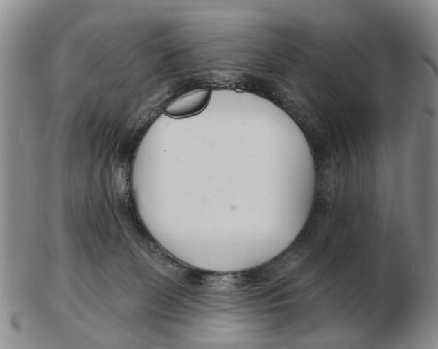 X0000103170131200809121909