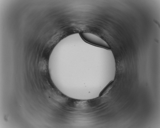 X0000103170132200809121909