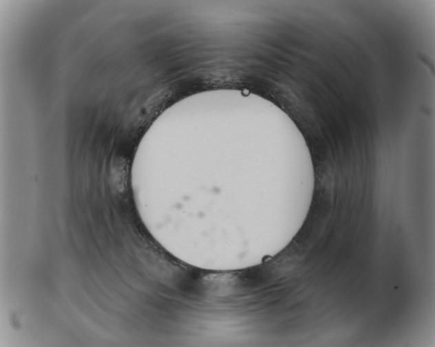 X0000103170133200809121909