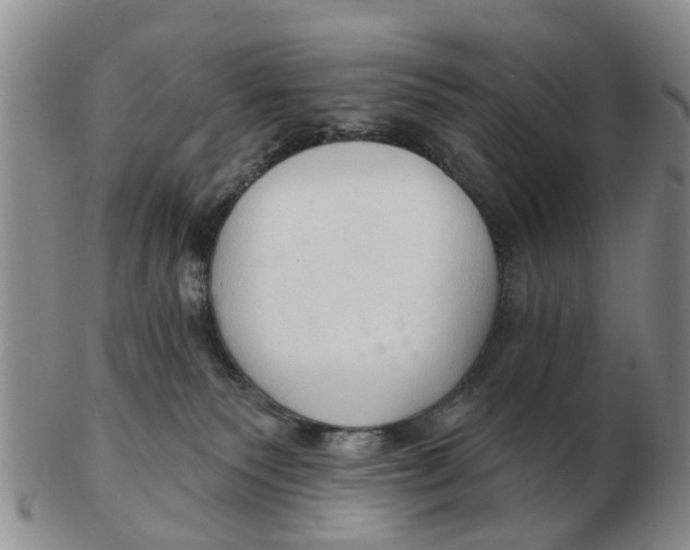 X0000103170135200809121909