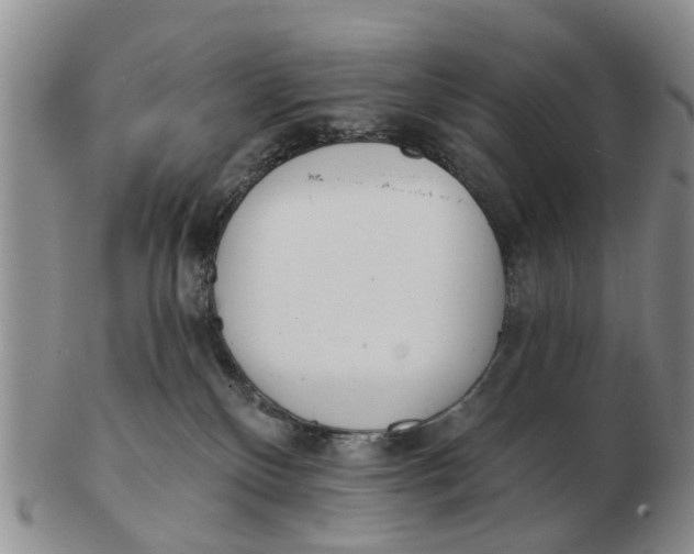 X0000103170136200809121909