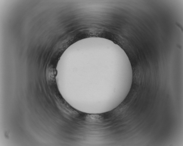 X0000103170137200809121909