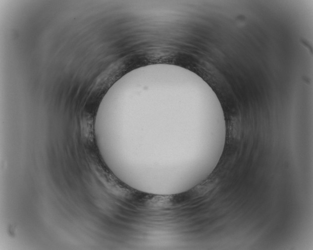 X0000103170138200809121909