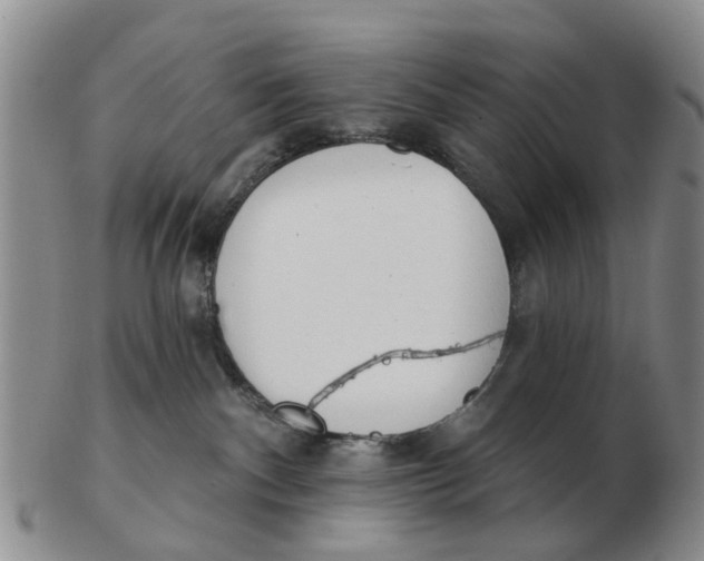 X0000103170140200809121909