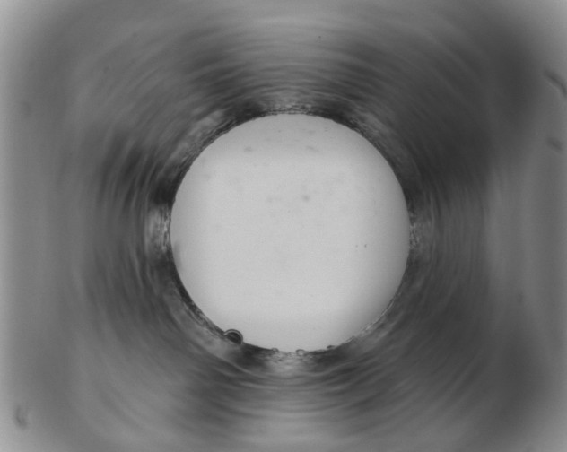 X0000103170142200809121909