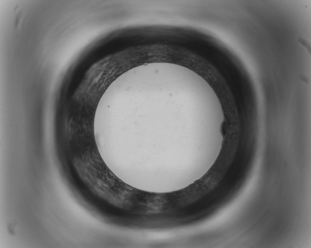 X0000103170143200809121909