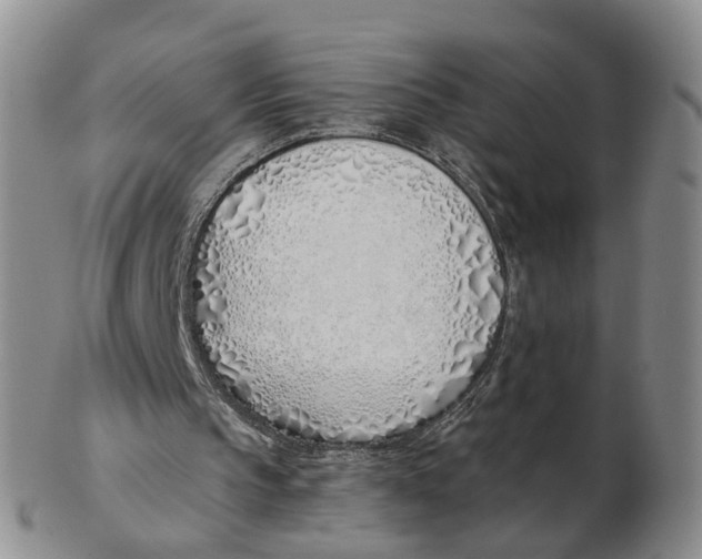 X0000103170145200809121908