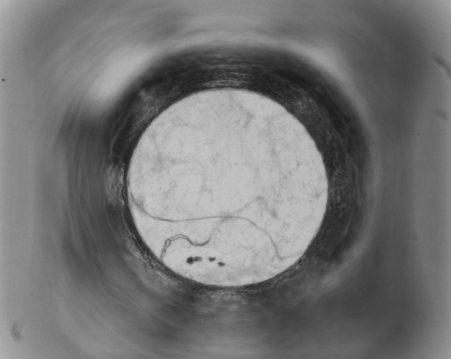 X0000103170146200809121908