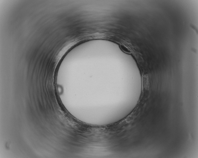 X0000103170147200809121908