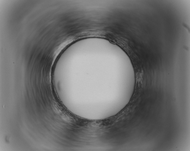 X0000103170148200809121908