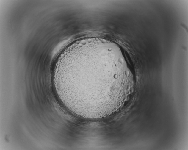 X0000103170149200809121908