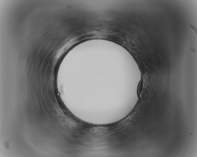 X0000103170150200809121908