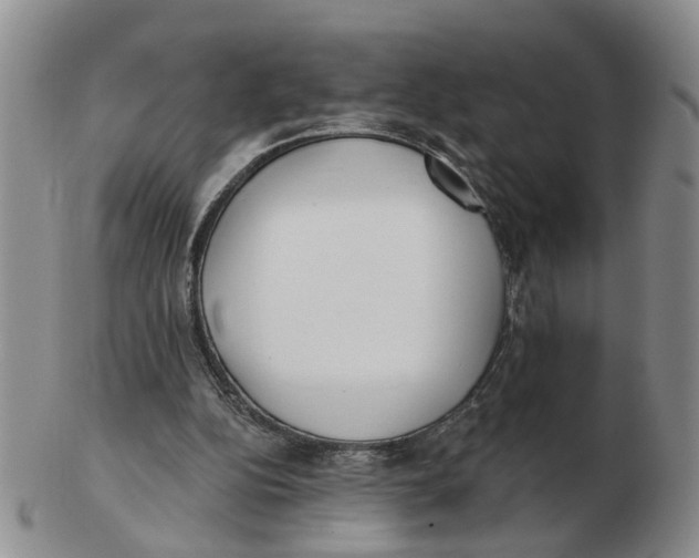 X0000103170152200809121908