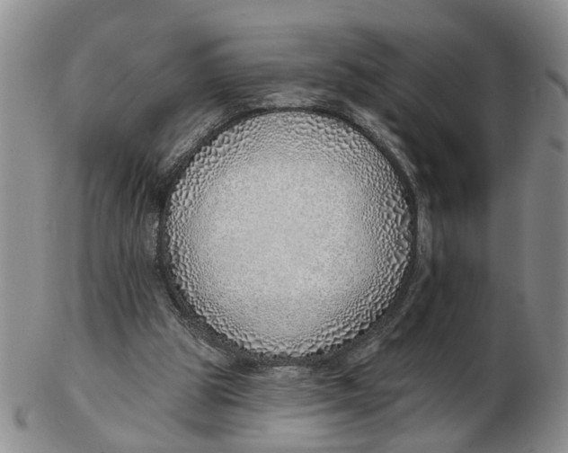 X0000103170153200809121908