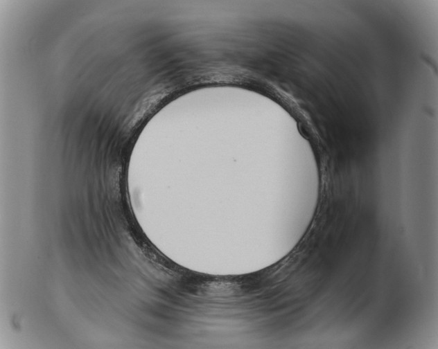 X0000103170154200809121908