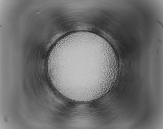 X0000103170155200809121908