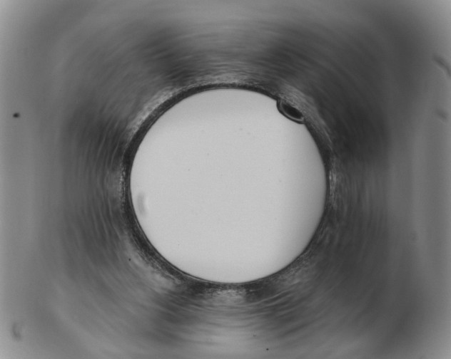 X0000103170156200809121908