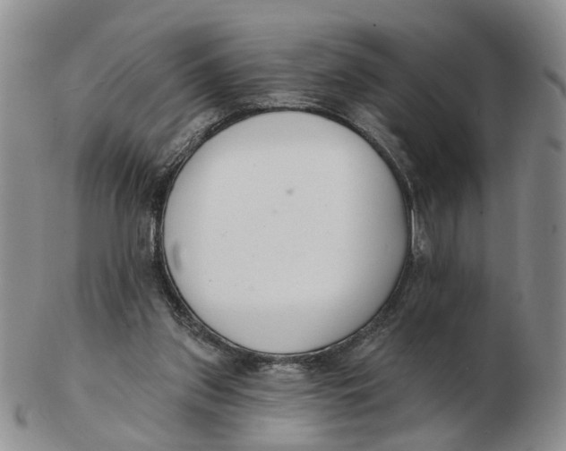 X0000103170157200809121908