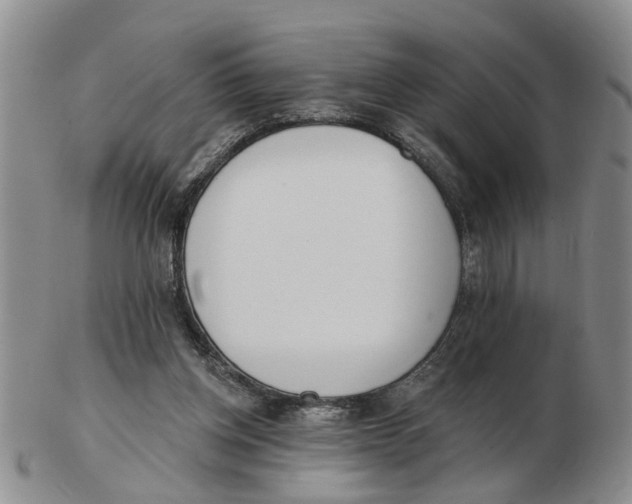 X0000103170158200809121908