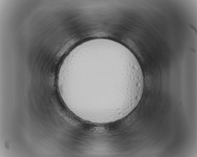 X0000103170159200809121908