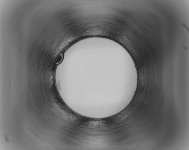 X0000103170160200809121908