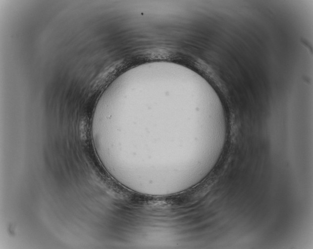 X0000103170161200809121908