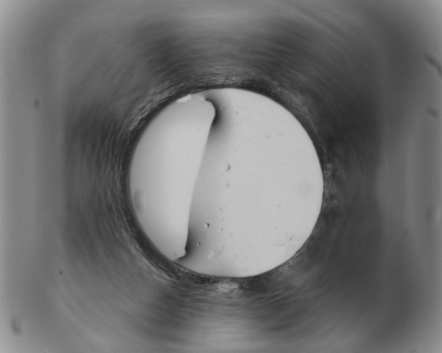 X0000103170162200809121908