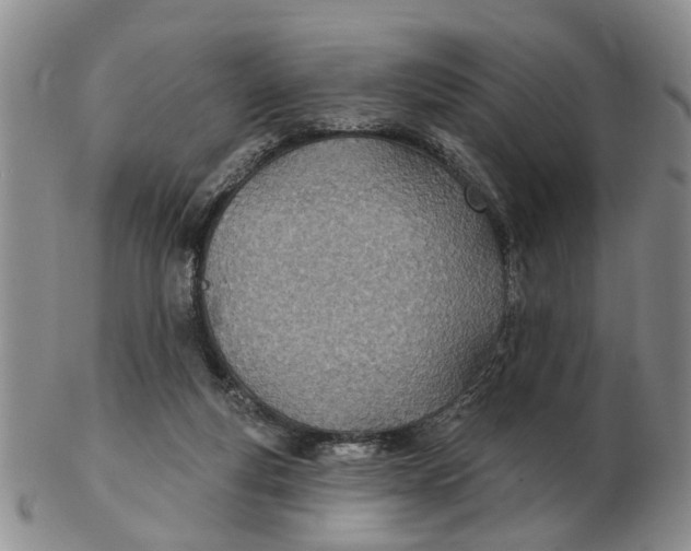 X0000103170163200809121908