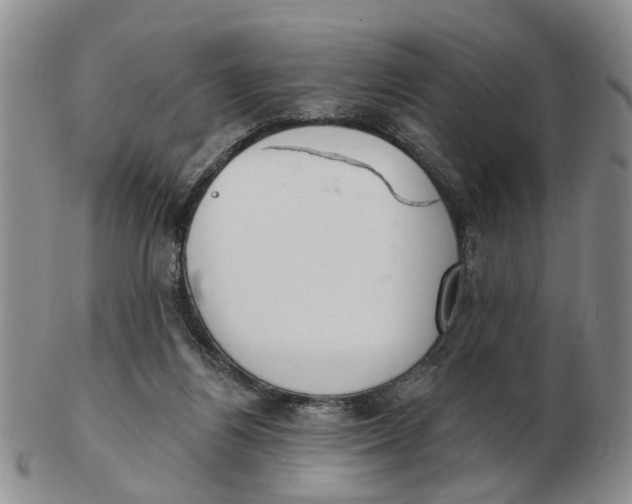 X0000103170164200809121908