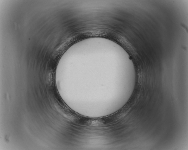 X0000103170165200809121908