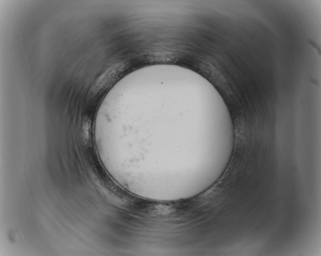 X0000103170166200809121908