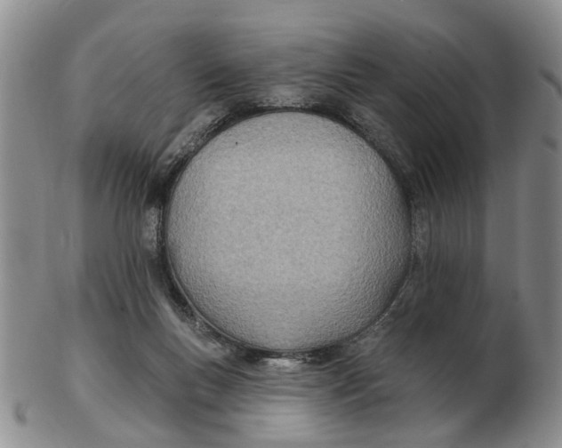 X0000103170167200809121908