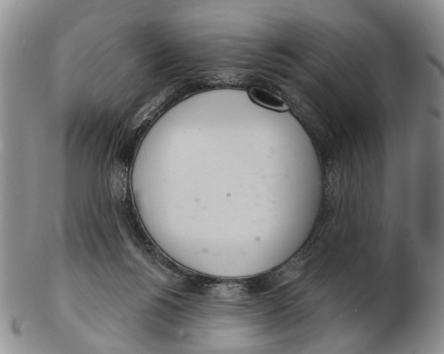 X0000103170168200809121908