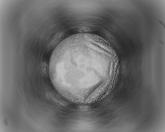 X0000103170169200809121908