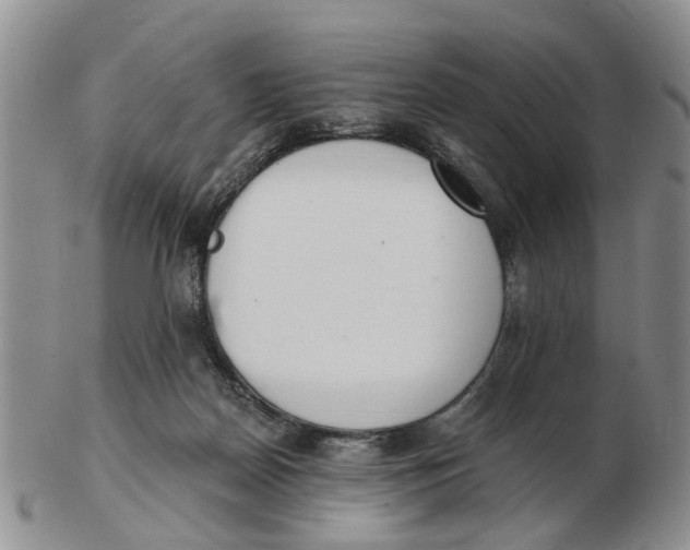 X0000103170170200809121908