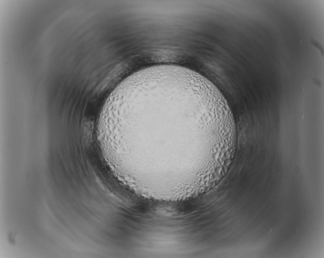 X0000103170171200809121908