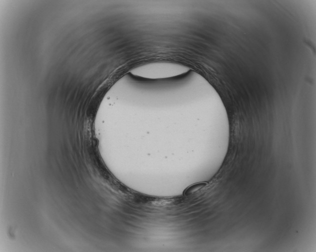 X0000103170172200809121908