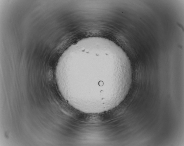 X0000103170173200809121908