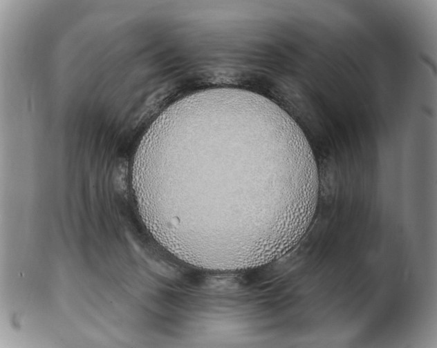 X0000103170175200809121908