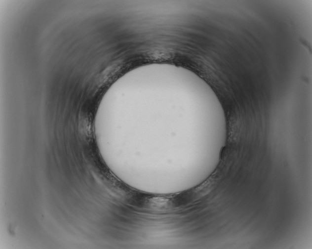 X0000103170176200809121909