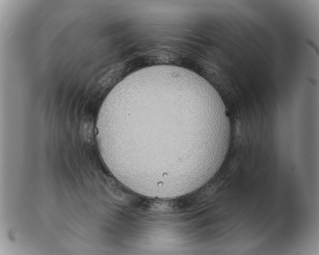 X0000103170177200809121909