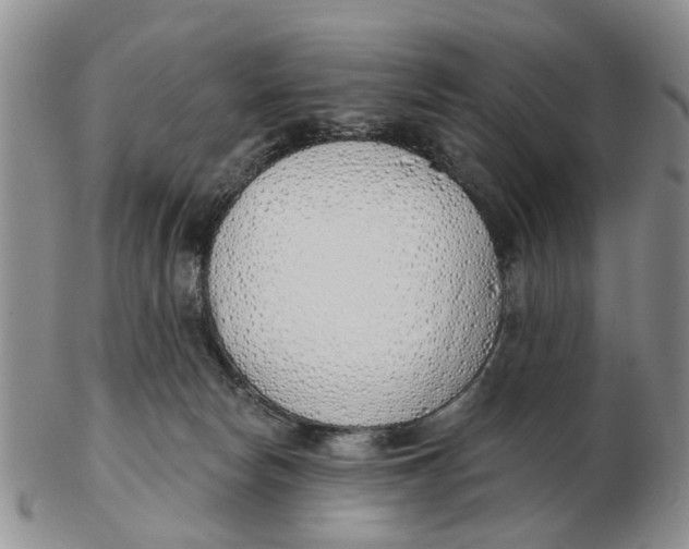 X0000103170178200809121909