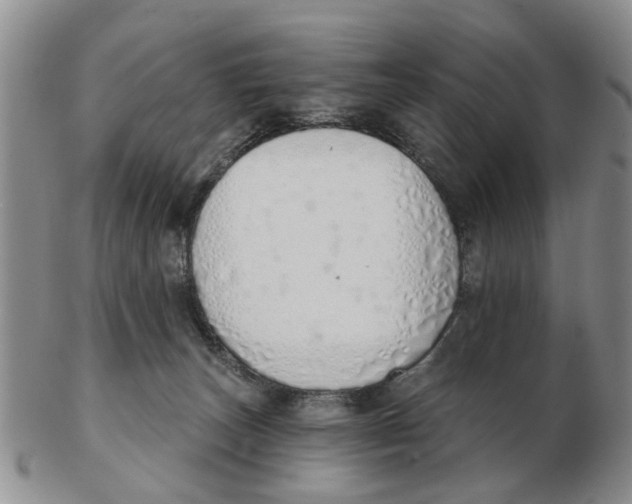 X0000103170179200809121909